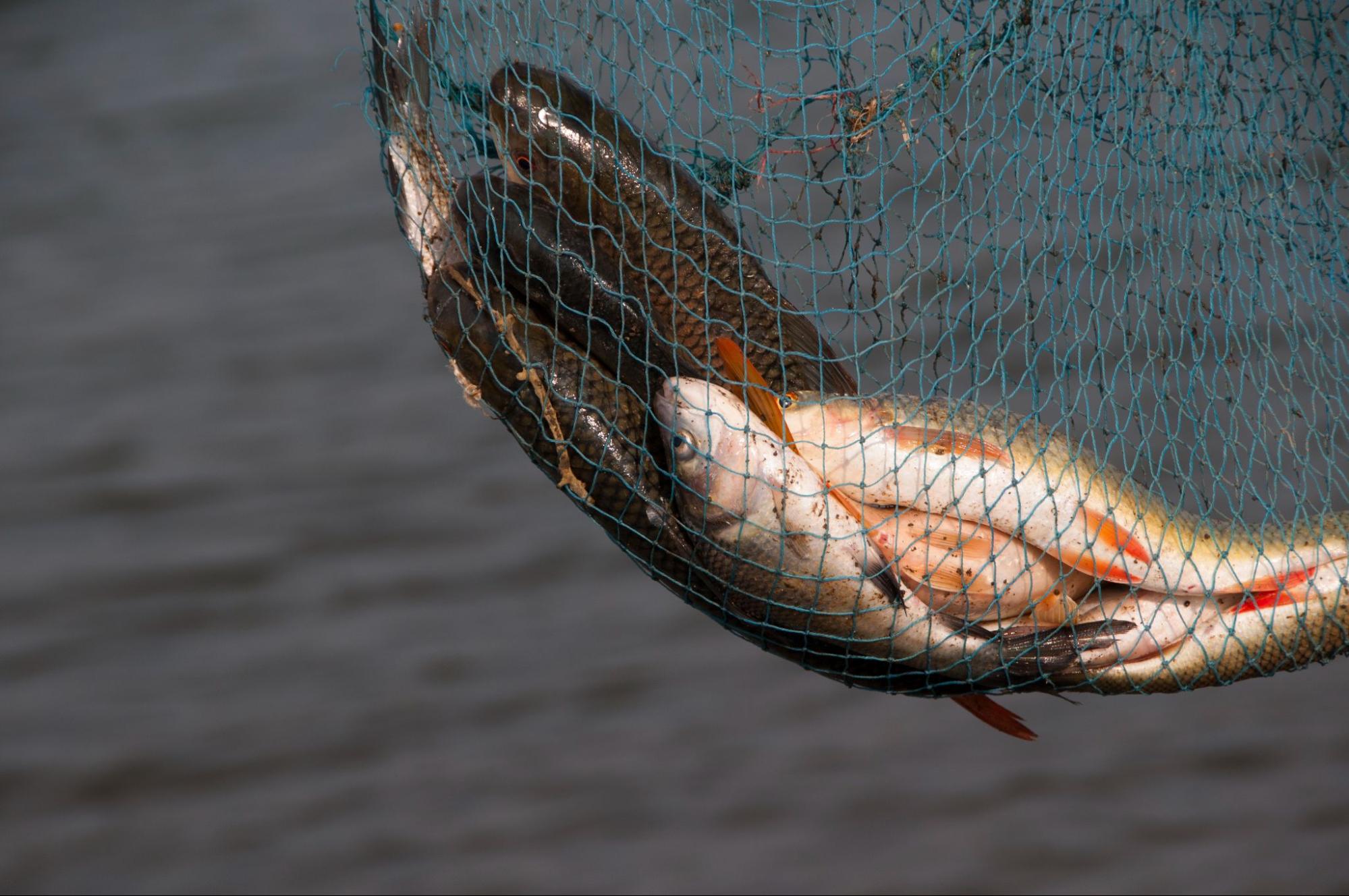 Drift Fishing Everything You Need to Know The Fishing Essentials