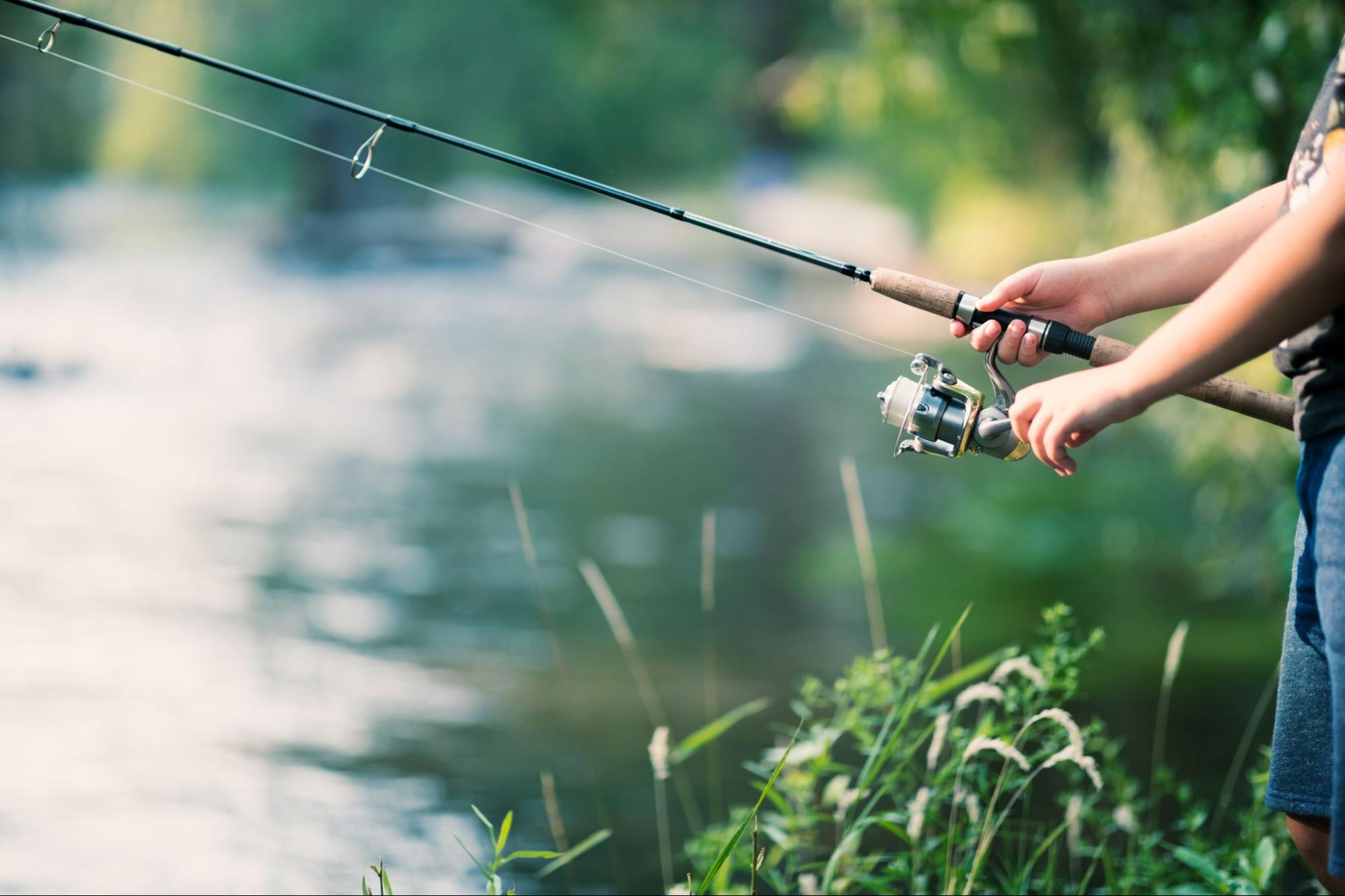 The Ultimate Guide to Setting Up Your Fishing Pole Tips, Tricks, and