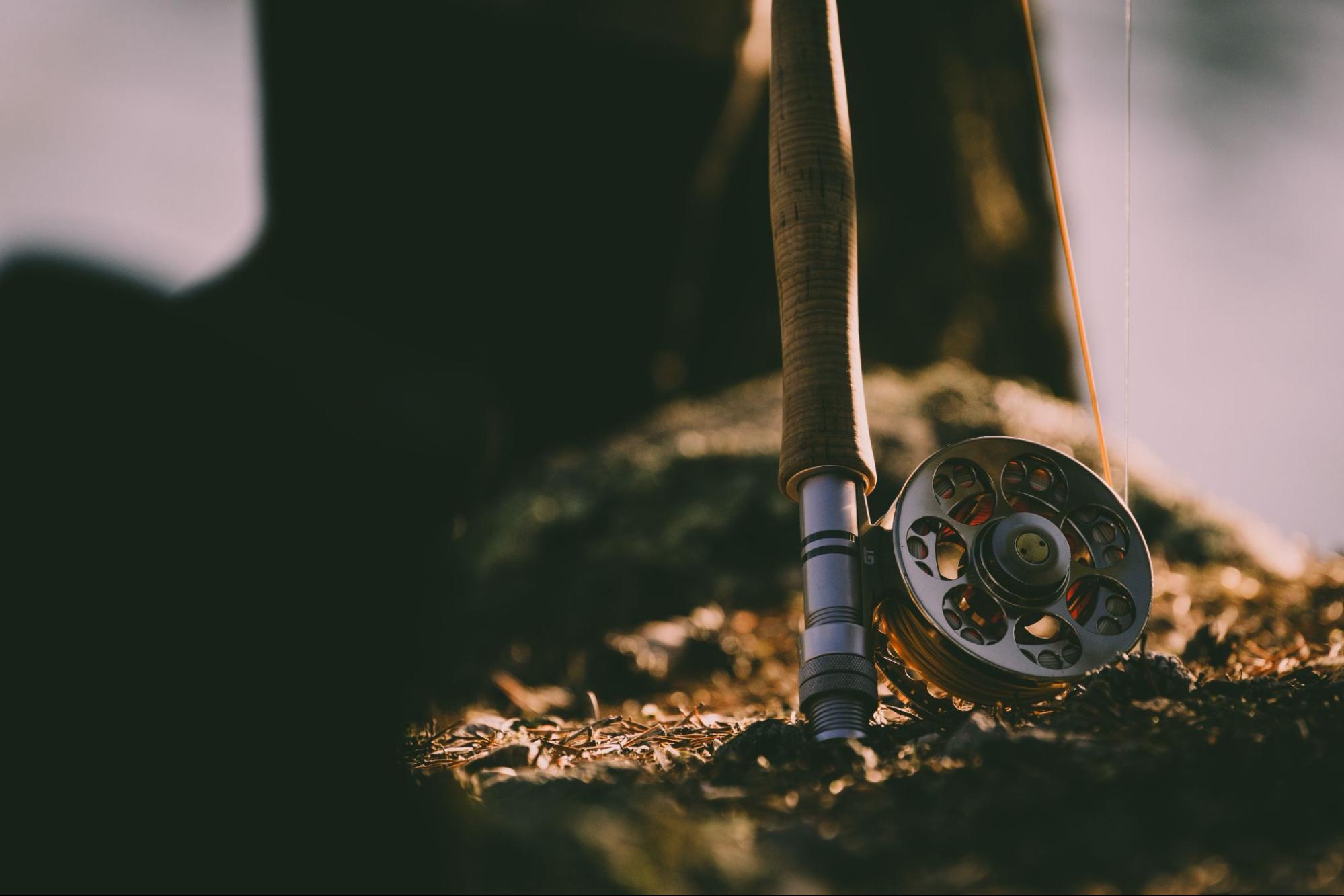 What does clam mean on a fishing reel? The Fishing Essentials