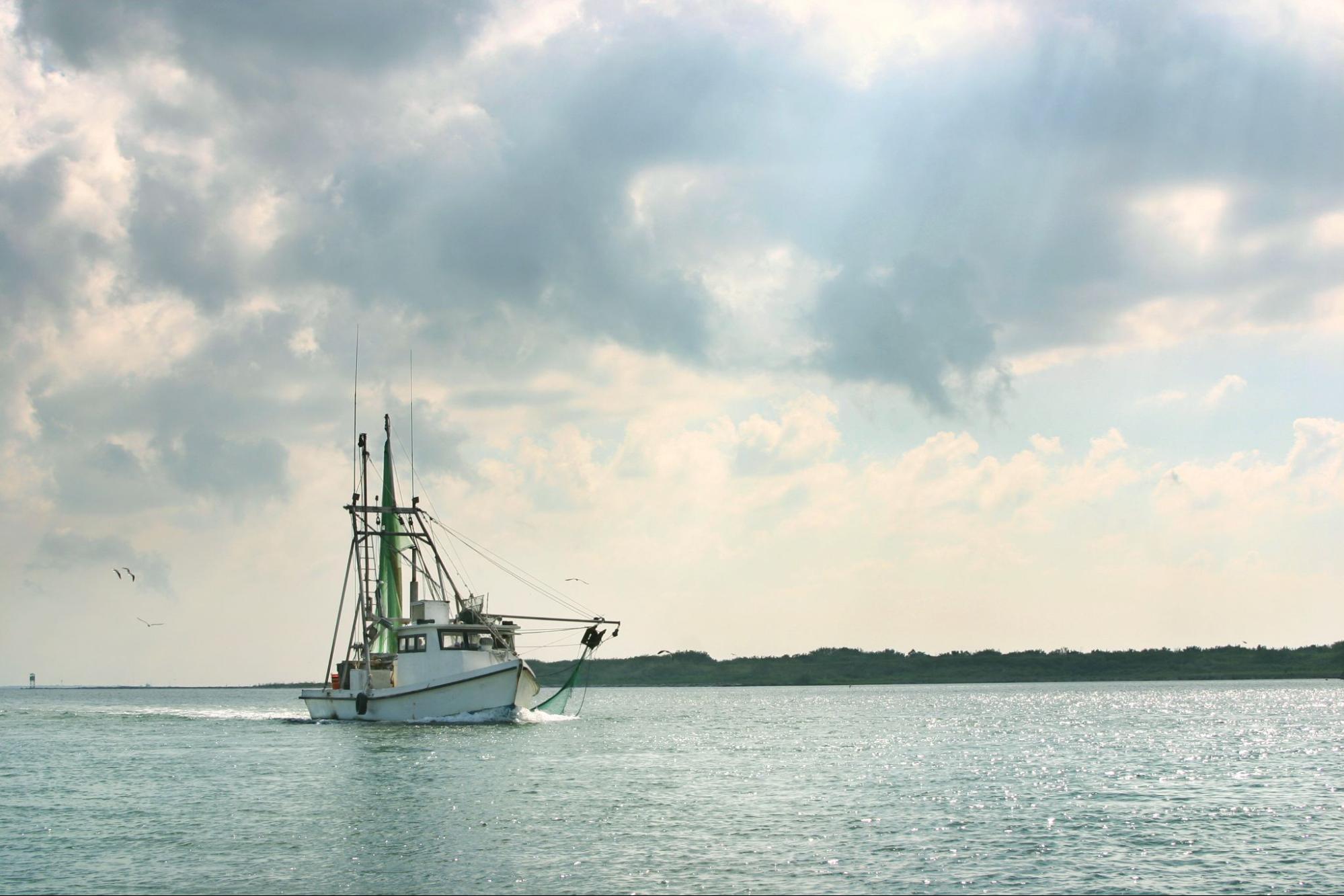 How many fishing rods per person in Texas? The Fishing Essentials