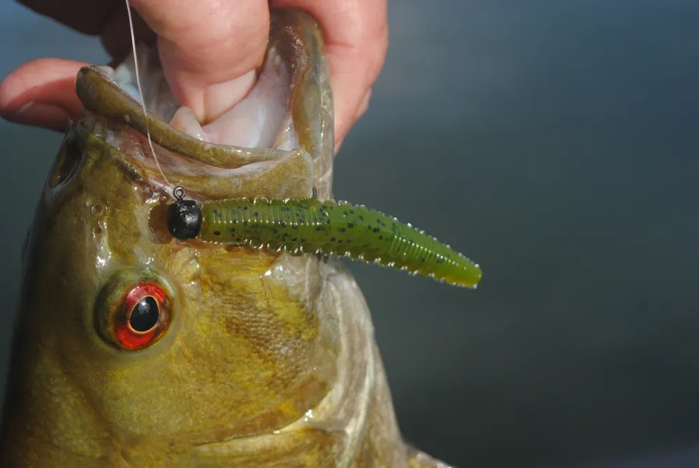 Keep It Simple For More Fish - The Fishing Wire