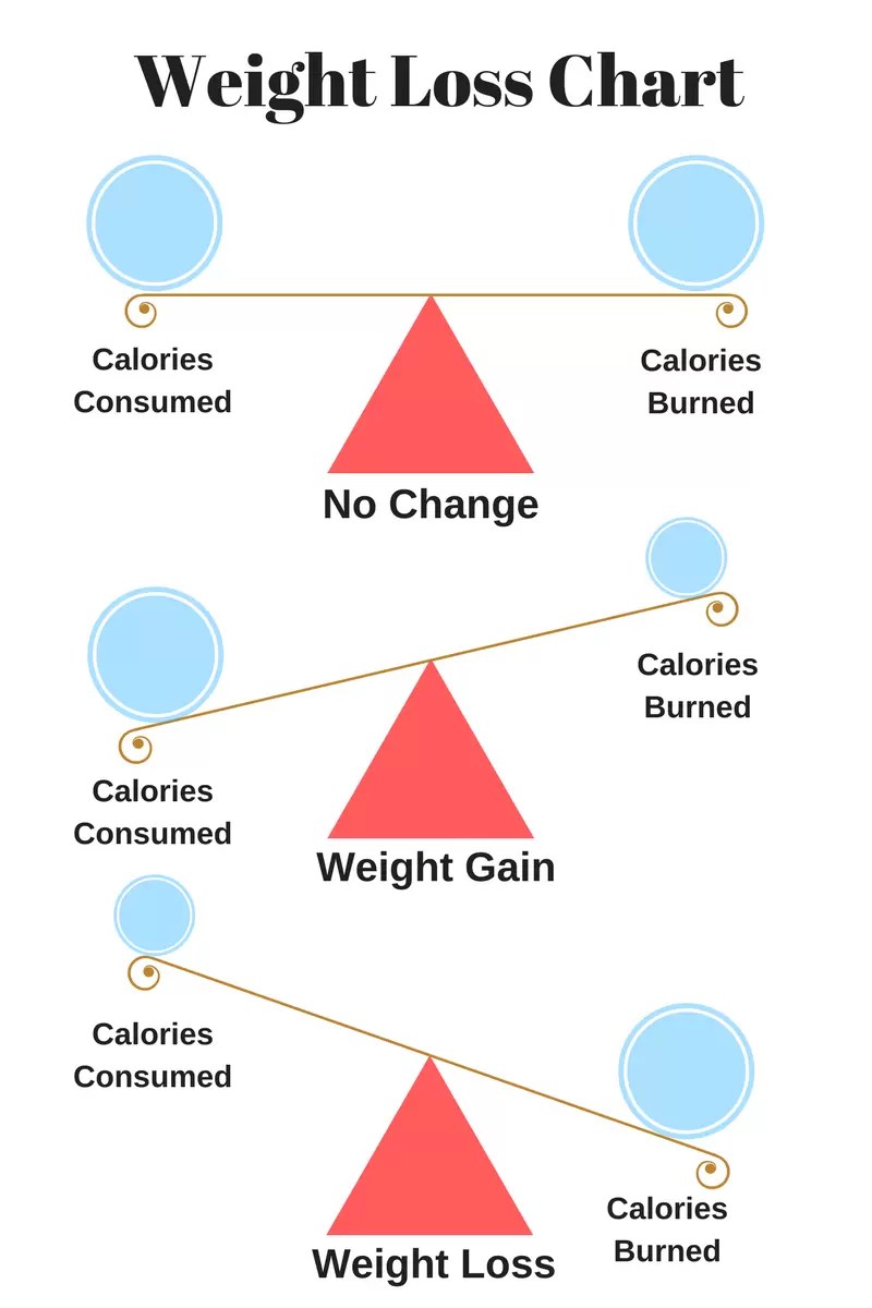 What to do When You're Working Out and Not Losing Weight The Fitness
