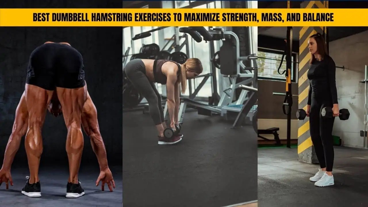 The 10 Best Dumbbell Hamstring Exercises of All Time