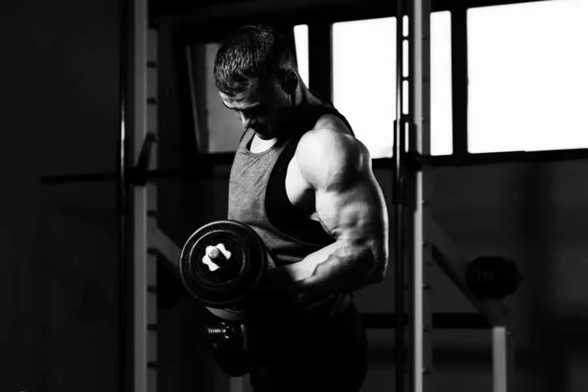 No Bench Dumbbell Workout Plan with PDF The Fitness Phantom