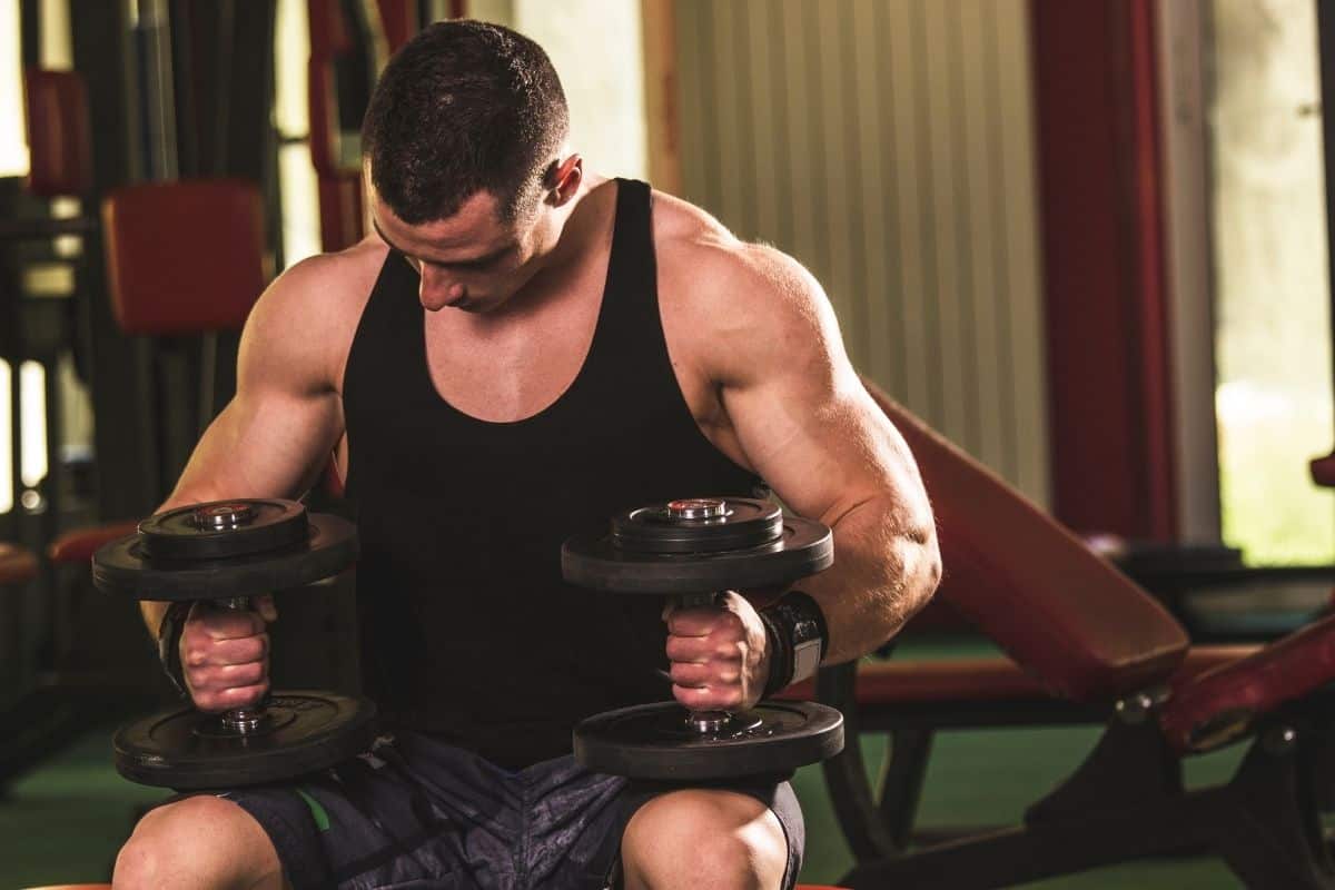 Push Pull Legs 5 Day Split Workout with PDF The Fitness Phantom