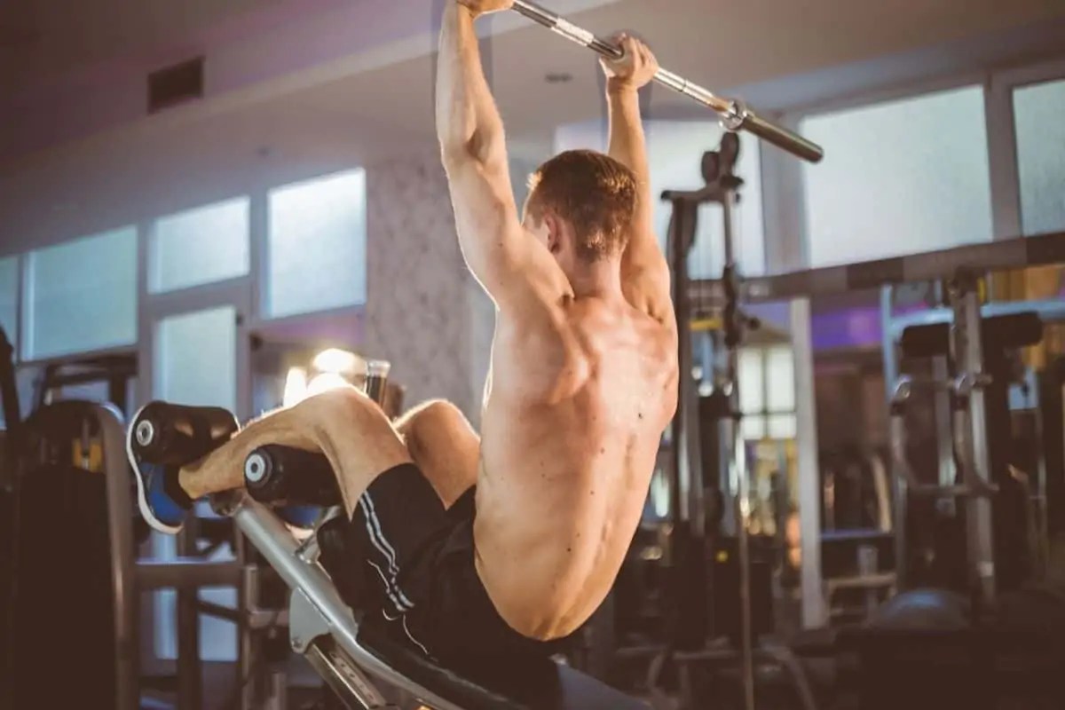 7 Types of Workout Benches, Their Benefits & Cost The Fitness Phantom