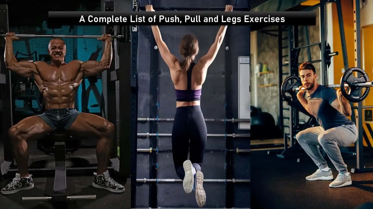 The Ultimate Push Pull Legs Exercises List with PDF