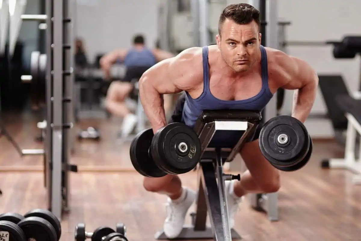 Dumbbell Pull Workout 20 Best Exercises to do on Pull Day The