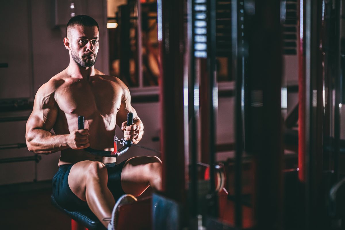 11 Best Isolation Exercises for Back The Fitness Phantom
