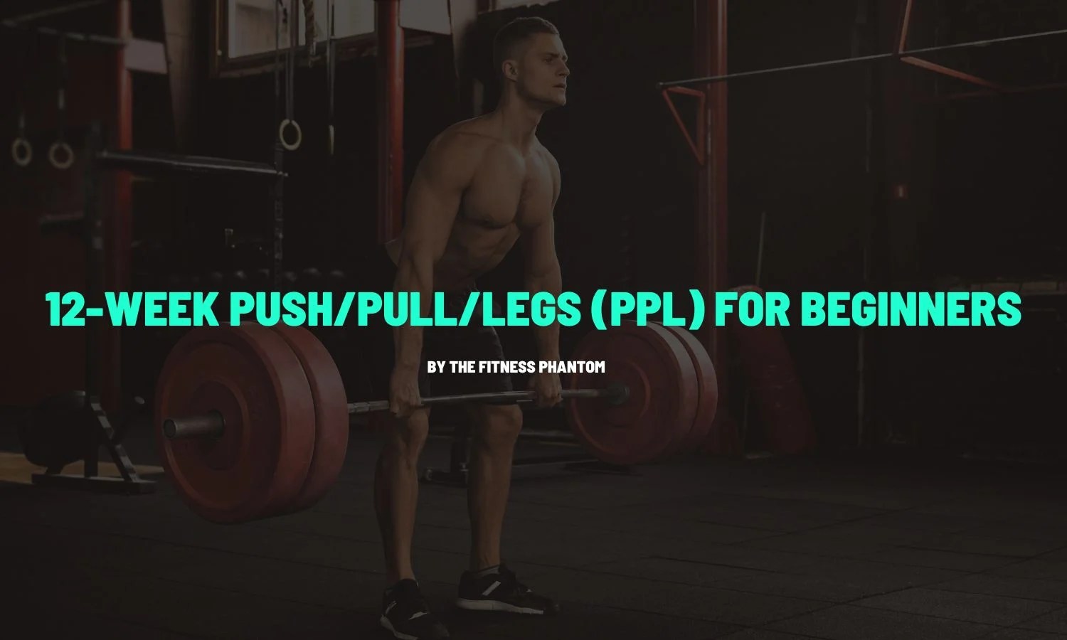 Push Pull Legs 12 Week Program for Beginners with PDF