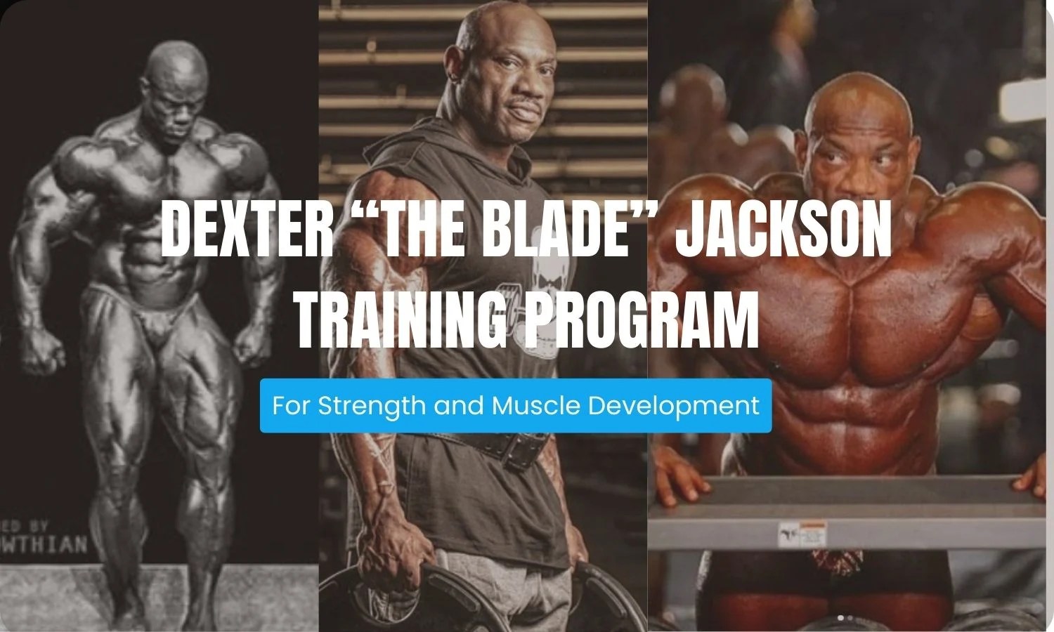 12 Week Dexter Jackson Training Routine with PDF The Fitness Phantom