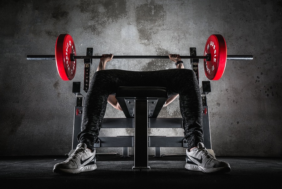 How Much Should I Be Able To Bench The Fitness Tribe