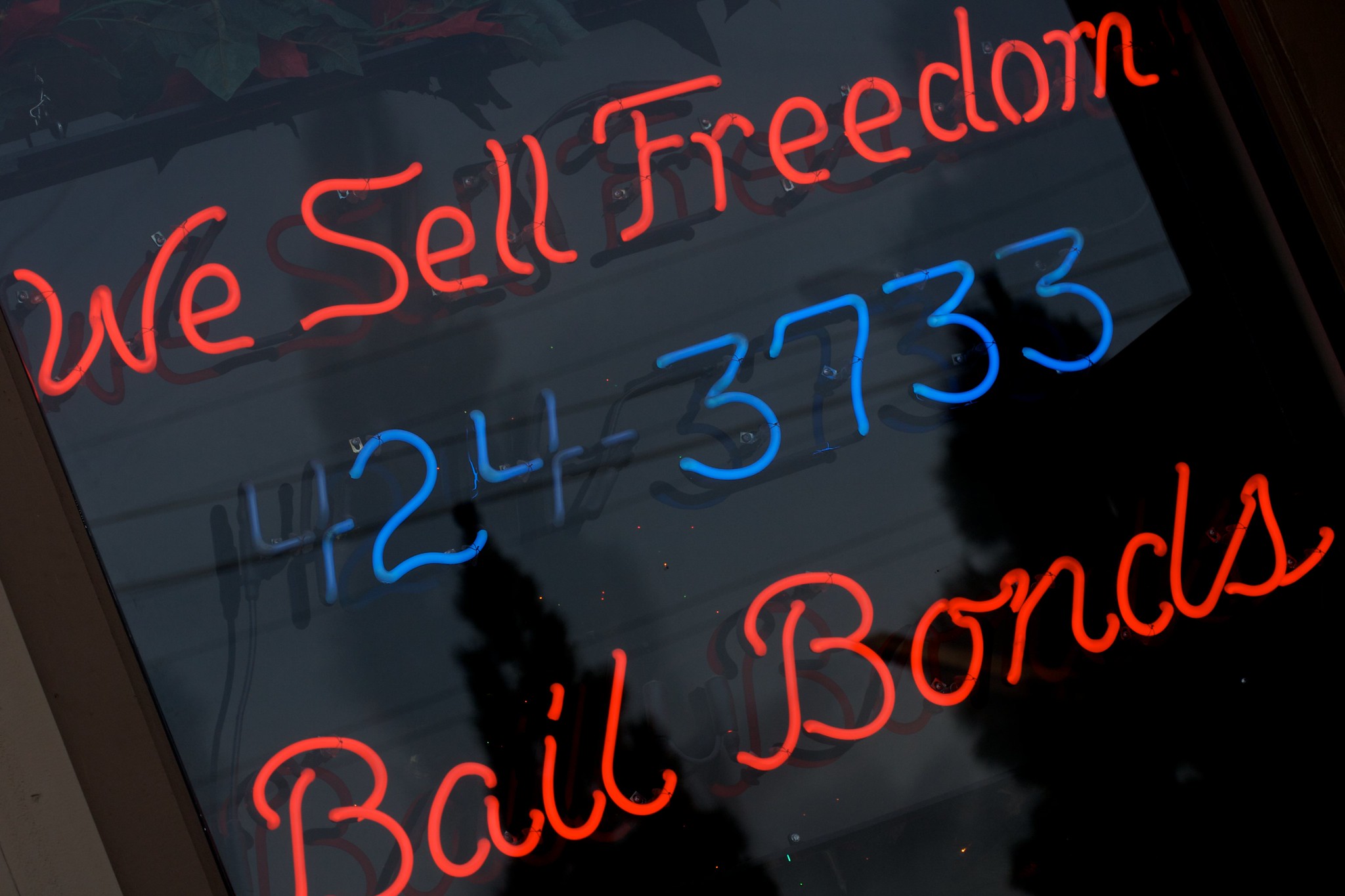 Captive Market Commercial Bail Bonds in America The Flaw