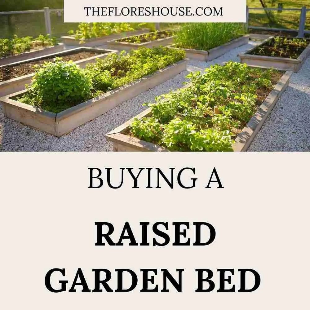 Our Guide to Buying Raised Garden Beds