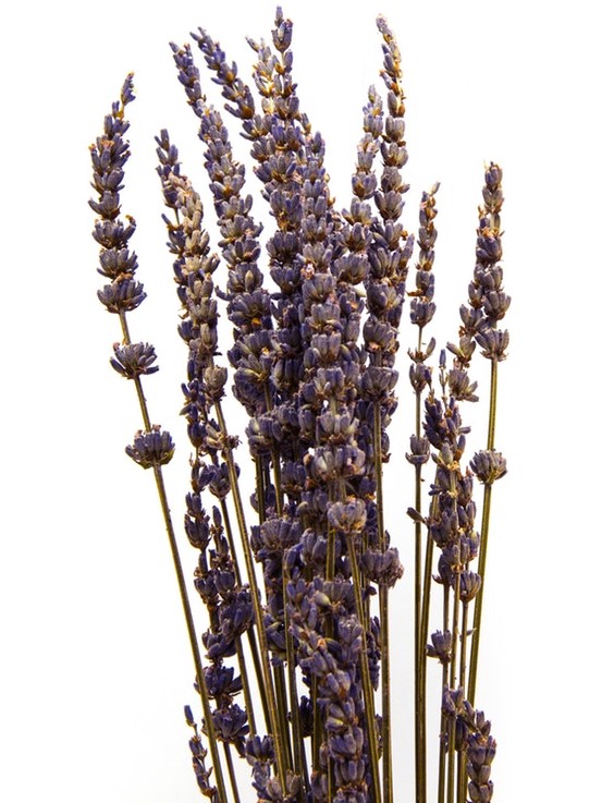 Best Flowers to Buy Online for Delivery in 2020 The Florist Guide