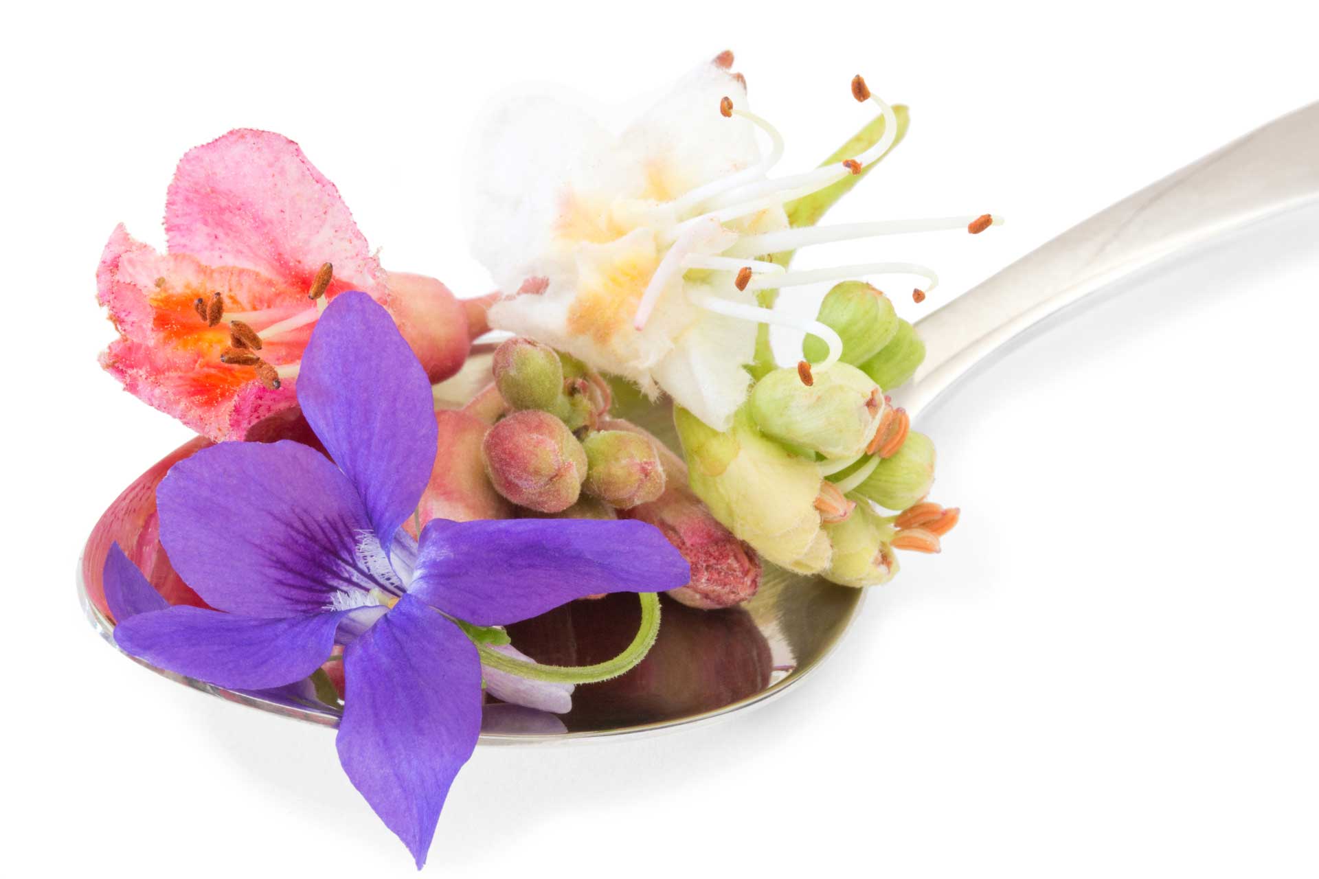 What is flower essence therapy? The Flower Apothecary