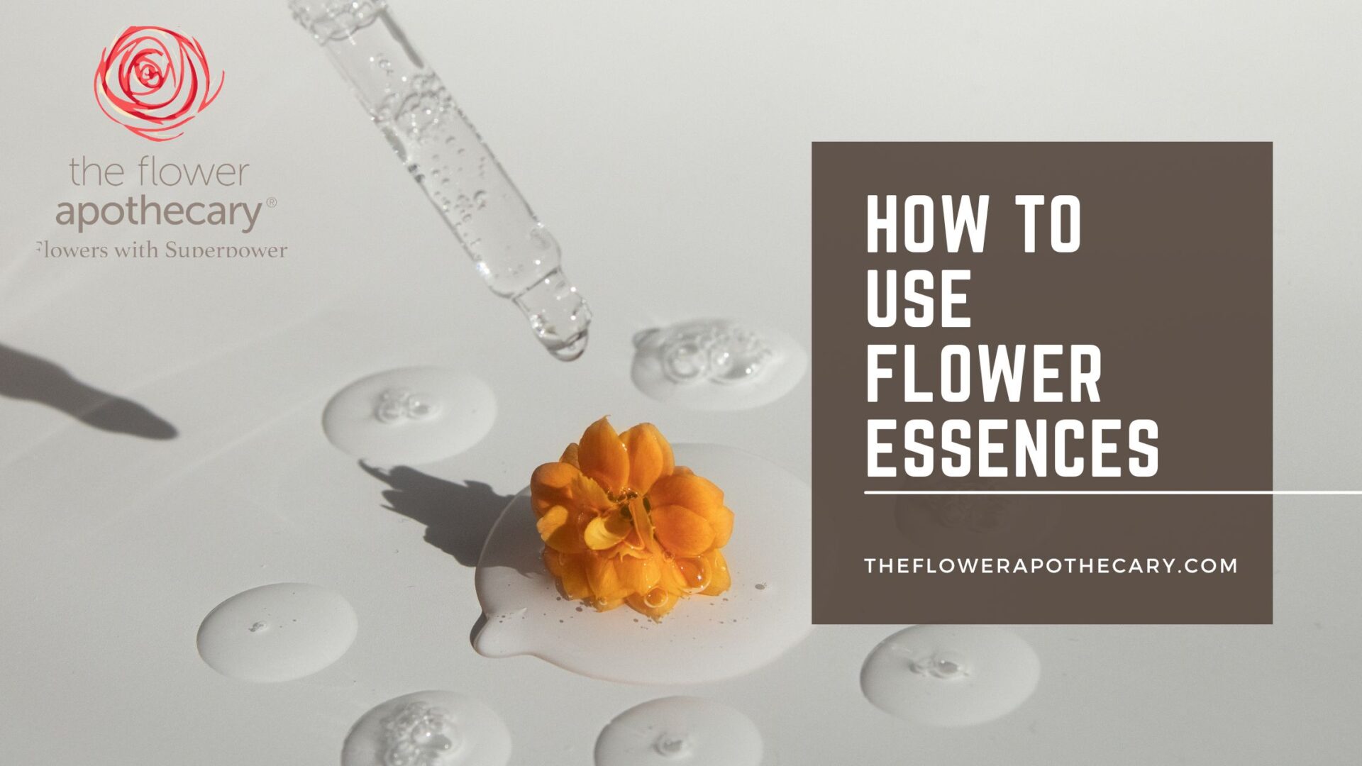 How Do Flower Essences Work On The Subtle Energy Systems Best Flower Site