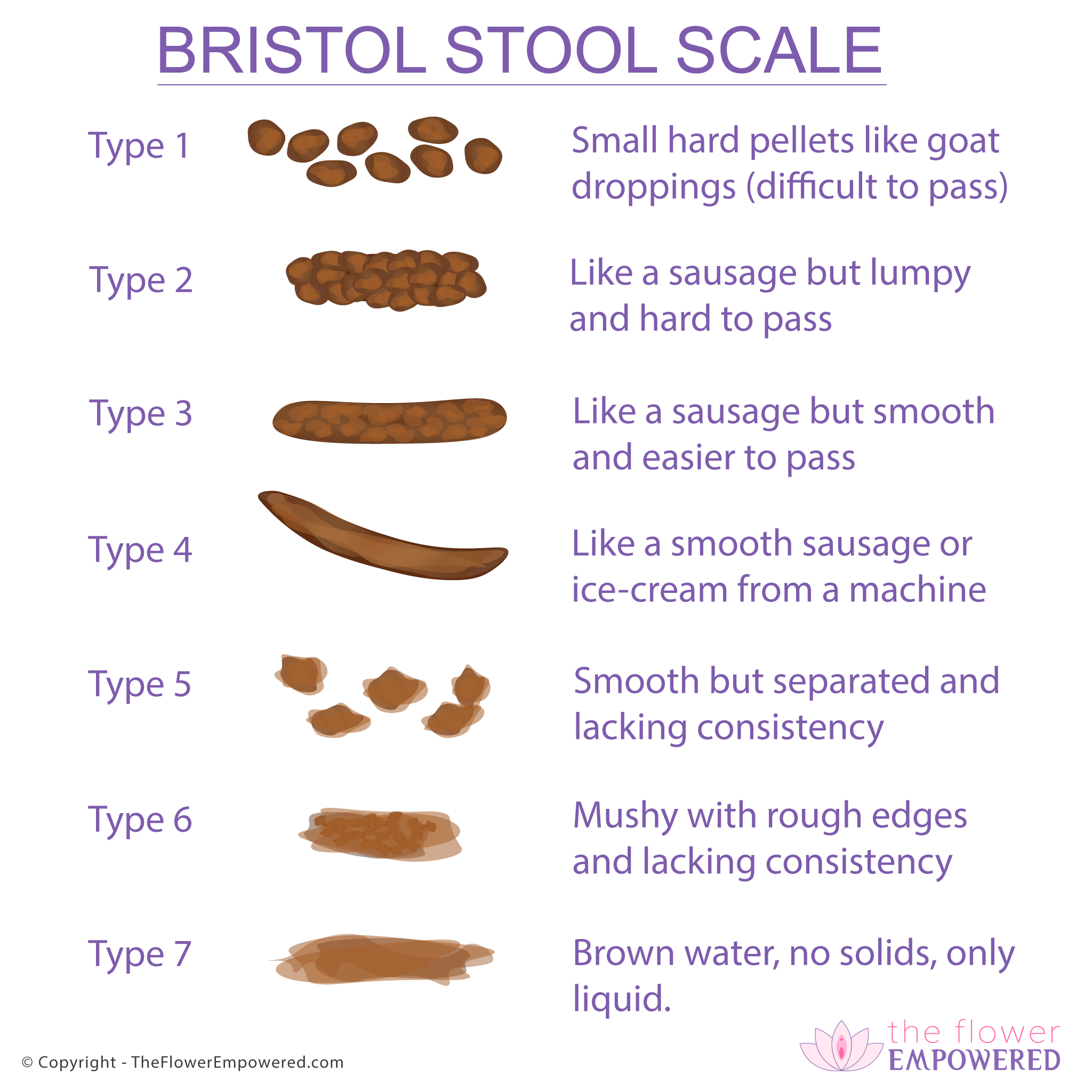 Bristol Stool Scale (3 or 4 is perfect) The Flower Empowered