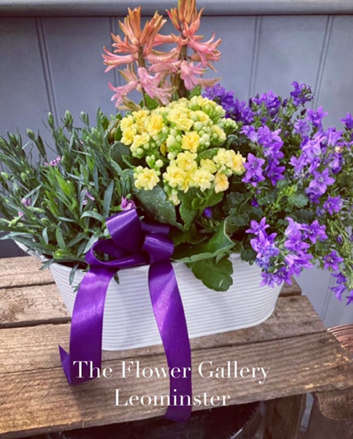 Florist Leominster The Flower Gallery Herefordshire