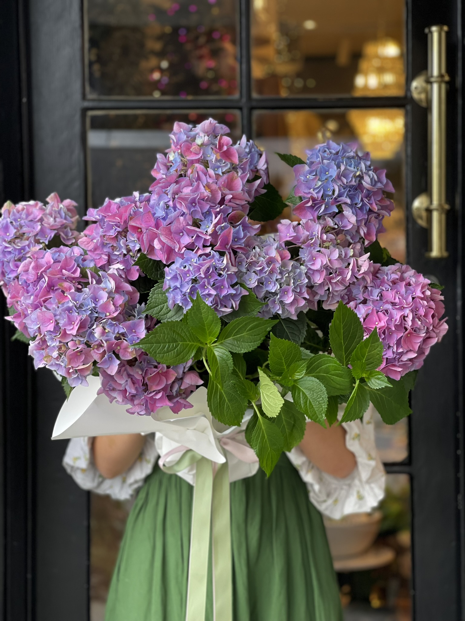  Hydrangeas Brisbane Florist Flowers Same Day Delivery The