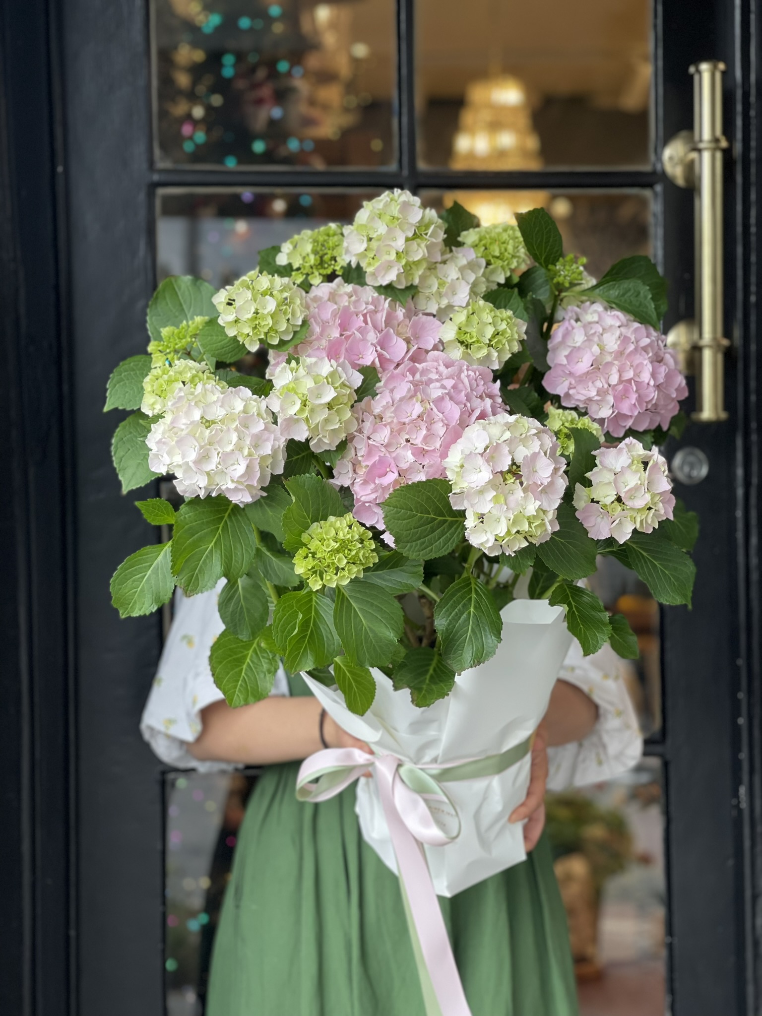  Hydrangeas Brisbane Florist Flowers Same Day Delivery The