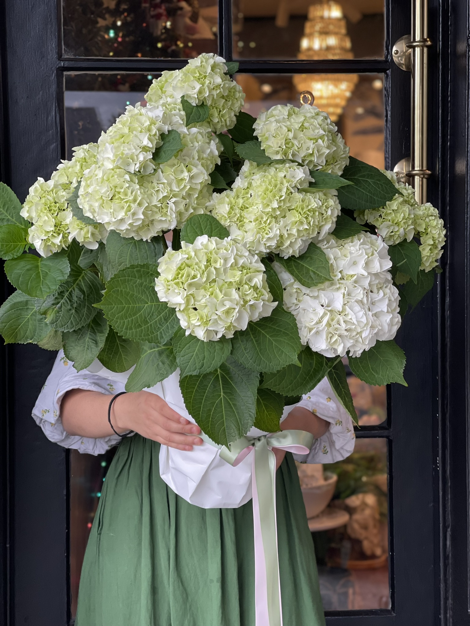  Hydrangeas Brisbane Florist Flowers Same Day Delivery The