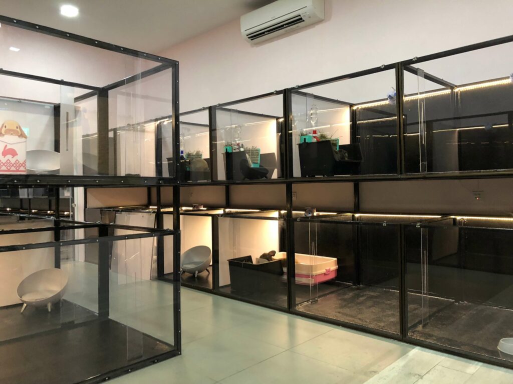 Pocket Pet Boarding Singapore The Fluffy Hut