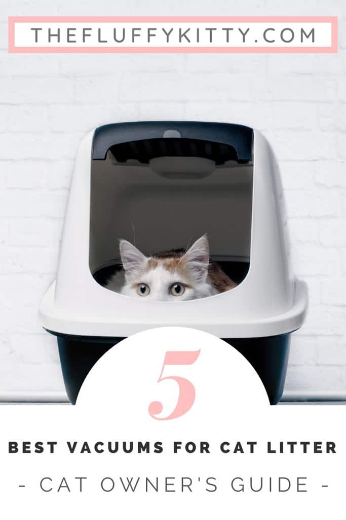 The 5 Best Vacuums for Cat Litter [2019 Reviews + Guide] Fluffy Kitty