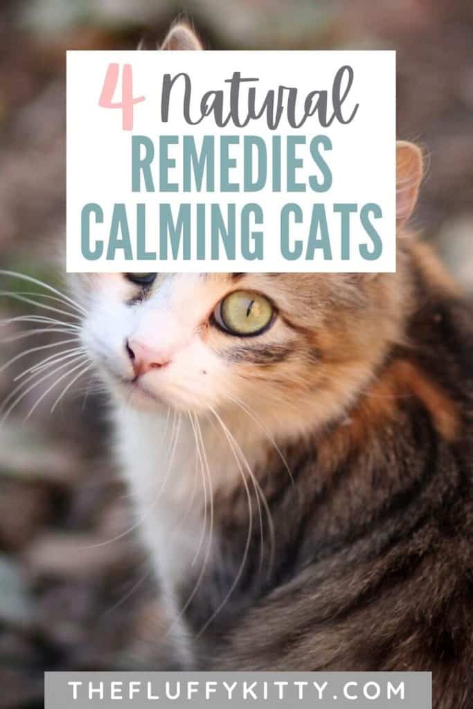 The Best Natural Remedies For Calming Cats The Fluffy Kitty