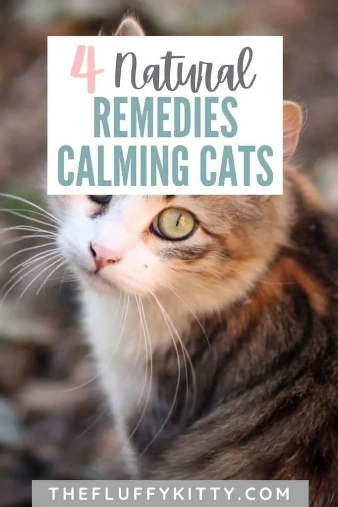 The Best Natural Remedies For Calming Cats The Fluffy Kitty