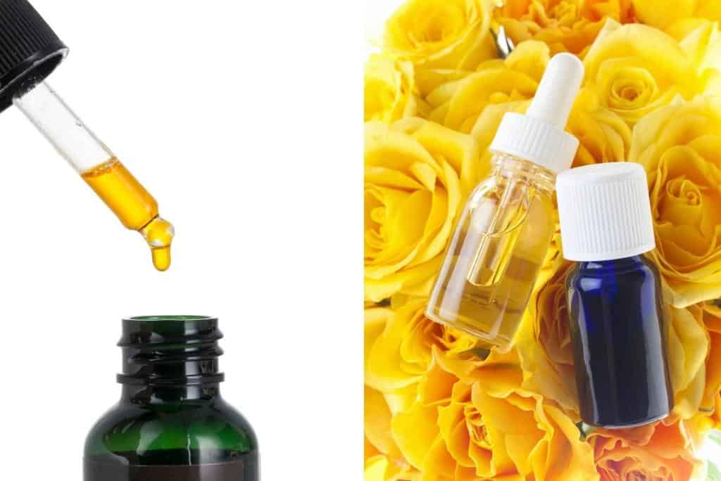 Are Essential Oils for Fleas On Cats Effective and Safe? The Fluffy Kitty