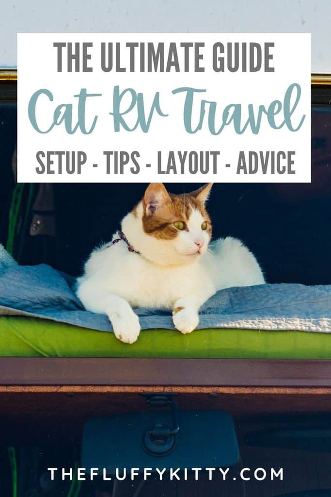 RV Travel with Cats (The ULTIMATE Guide!) The Fluffy Kitty