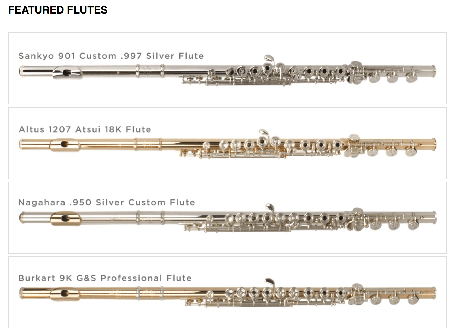 Flute World The Flute View