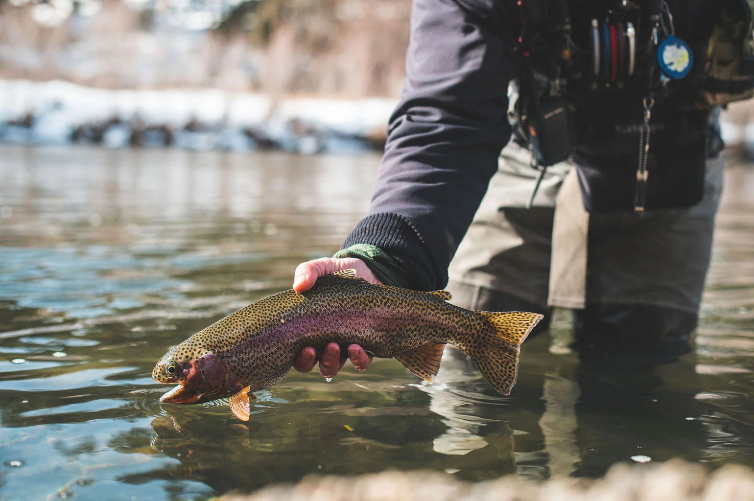 Nymphing Flies to Trout in the Spring The Fly Crate