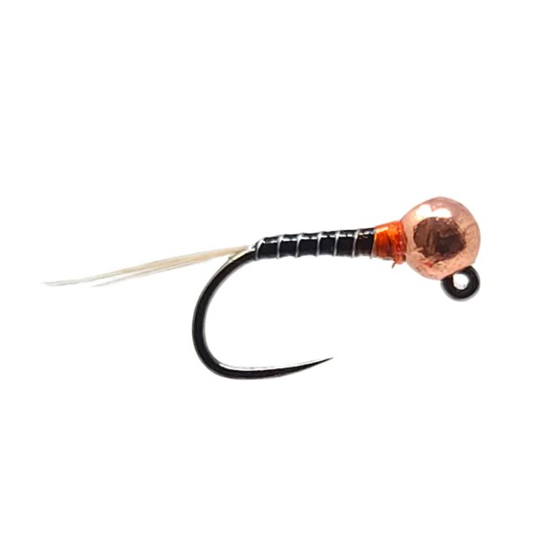 Zebra Peridgon Jig The Fly Crate