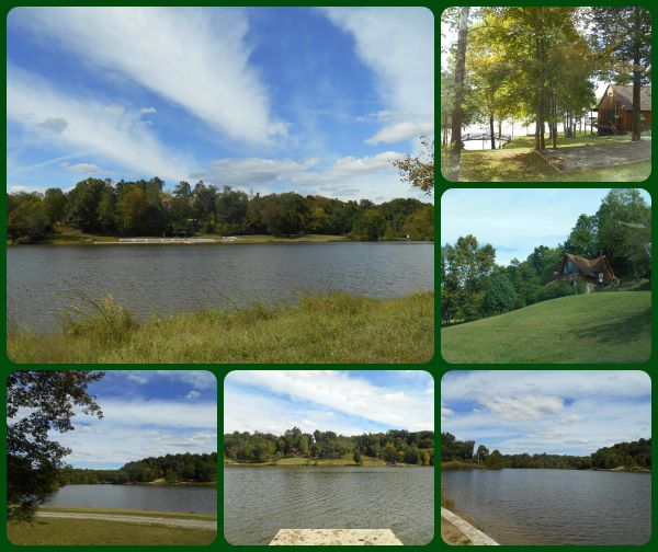 Melody Lake The Flying Mantis