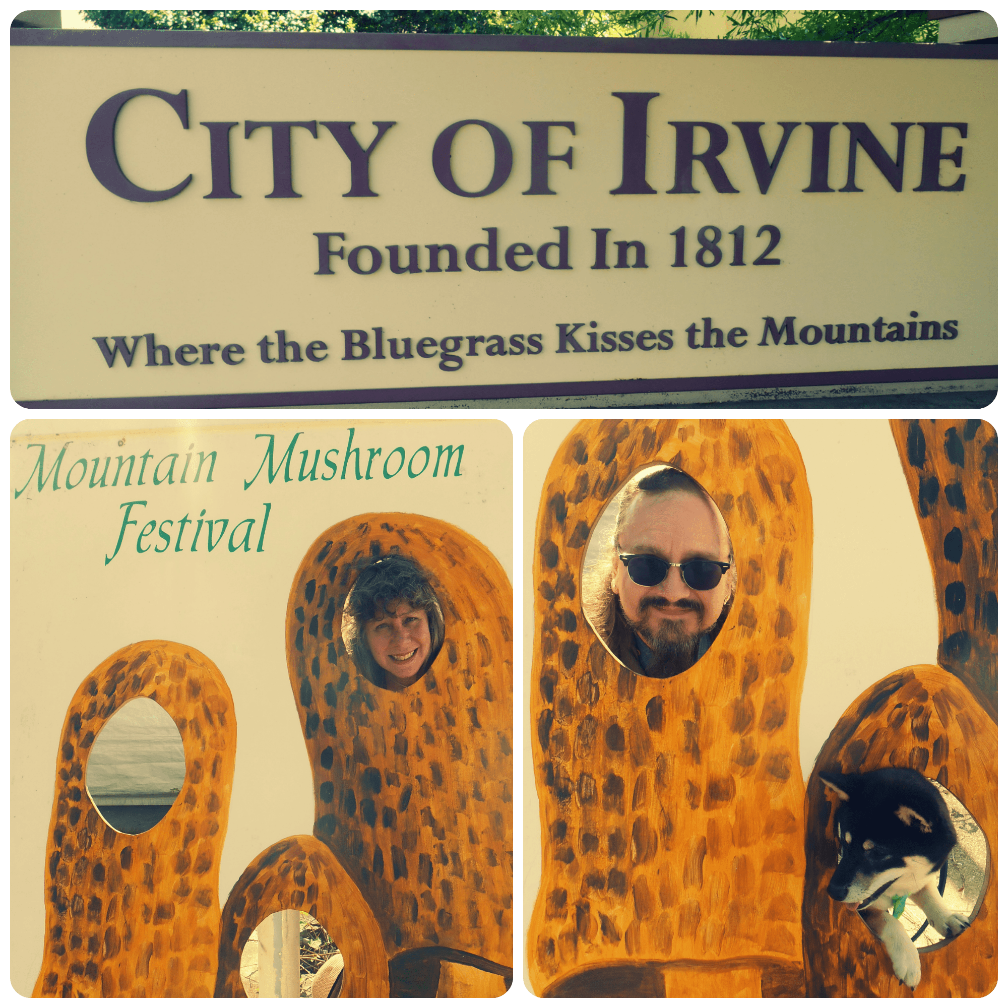 mushroom festival 2023 irvine ky Mountain Mushroom Festival The Flying Mantis