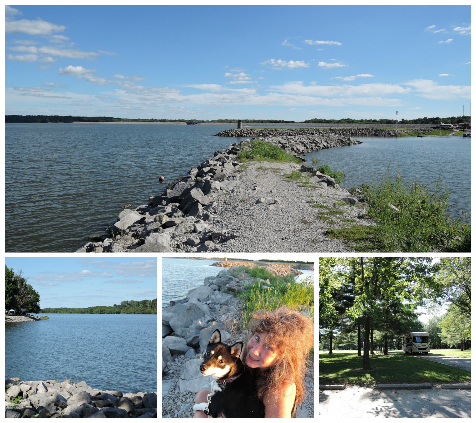 Dam West The Flying Mantis