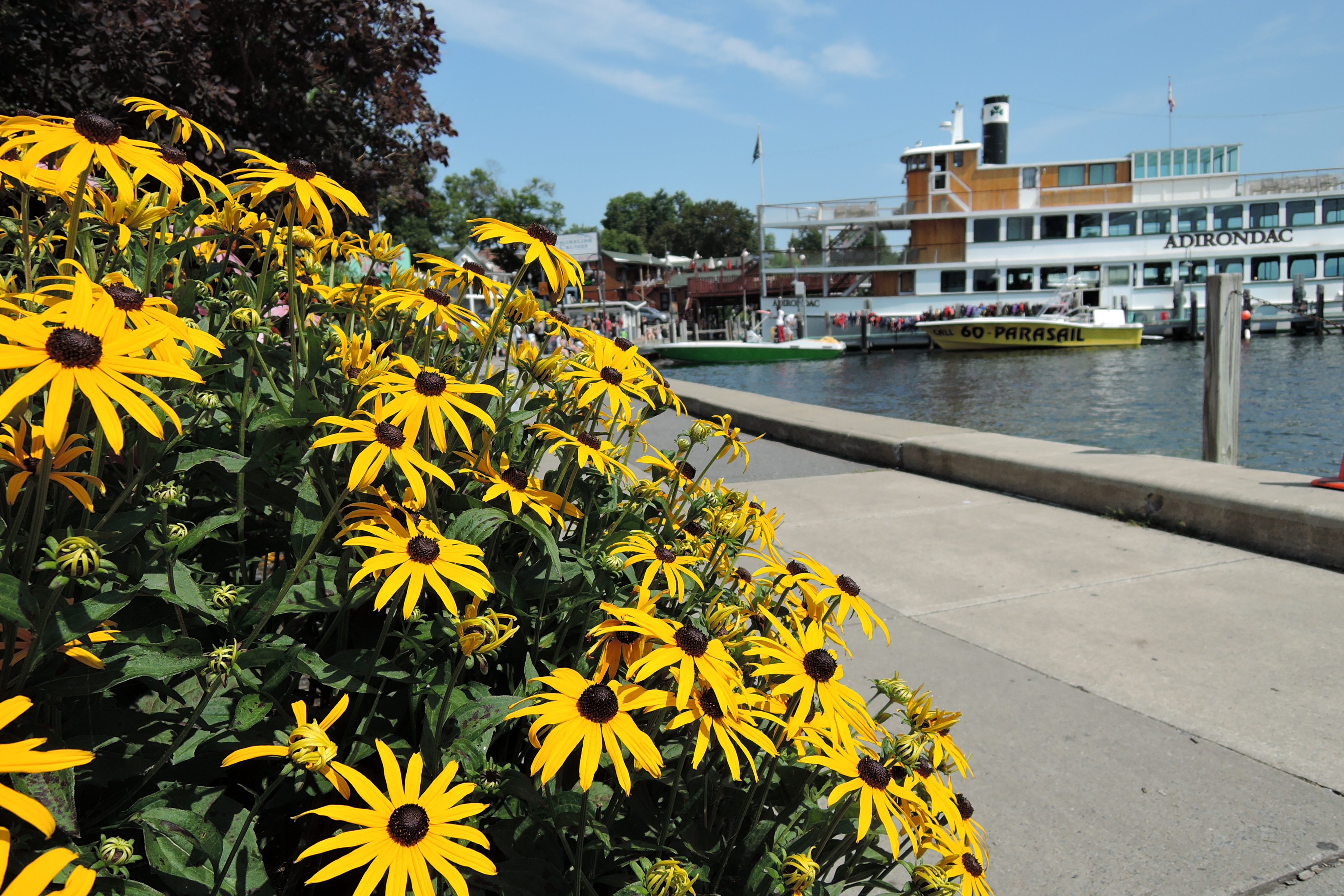 A Long Drive to Lake The Flying Mantis