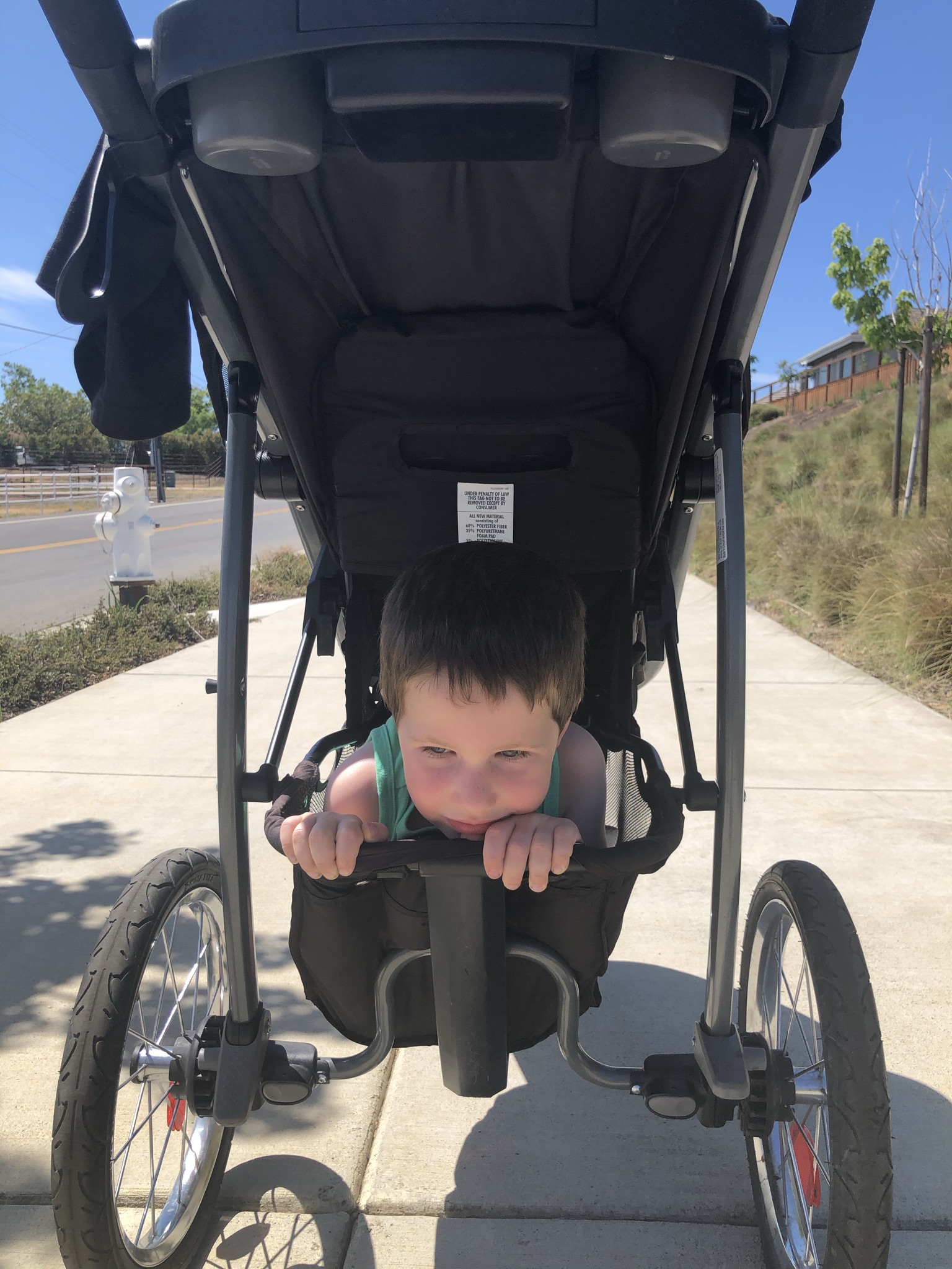 Maybe Time For a SIT and STAND Stroller? The Flying Mum