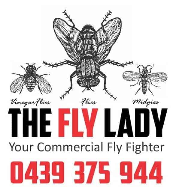 Simple Steps To Help Eliminate Flies And Vinegar Flies The Fly Lady