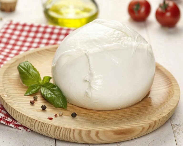 10 Best Mozzarella Cheese Substitutes For Pizza, Lasagna & More TheFoodXP