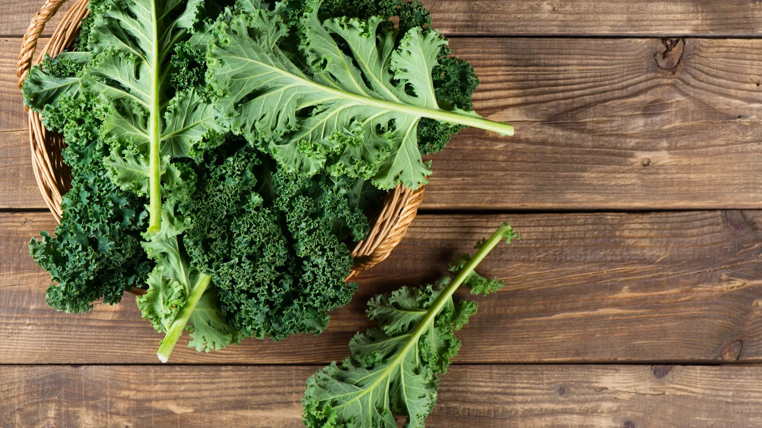 Marble Slab Creamery Menu with Prices [Updated 2022] TheFoodXP