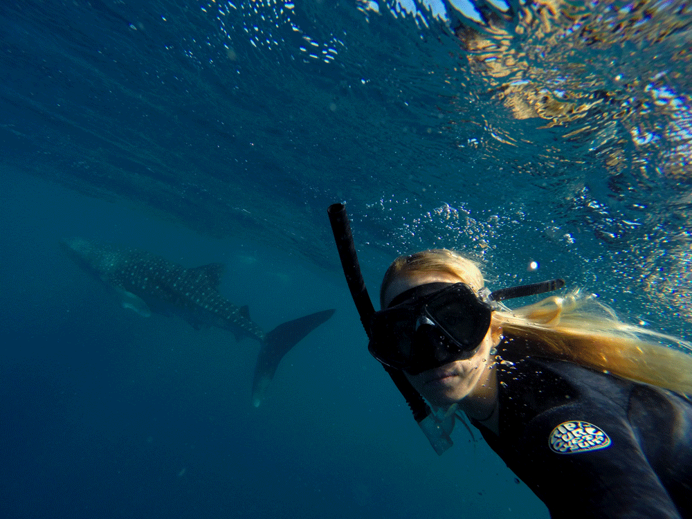 FAQ about Marine Biology Including what to study & when