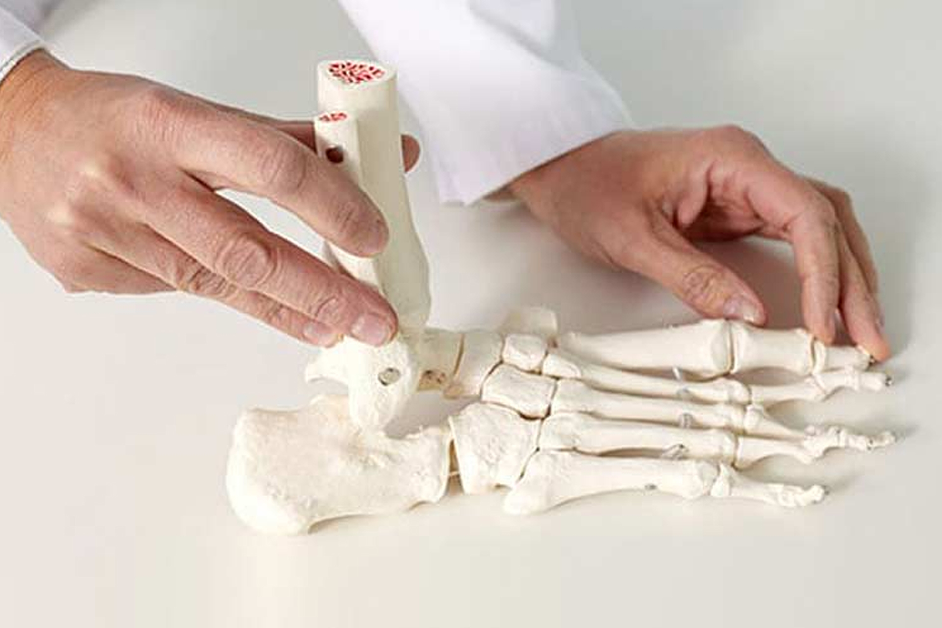 Sesamoid Foot Injury & Treatment The Foot Practice Singapore