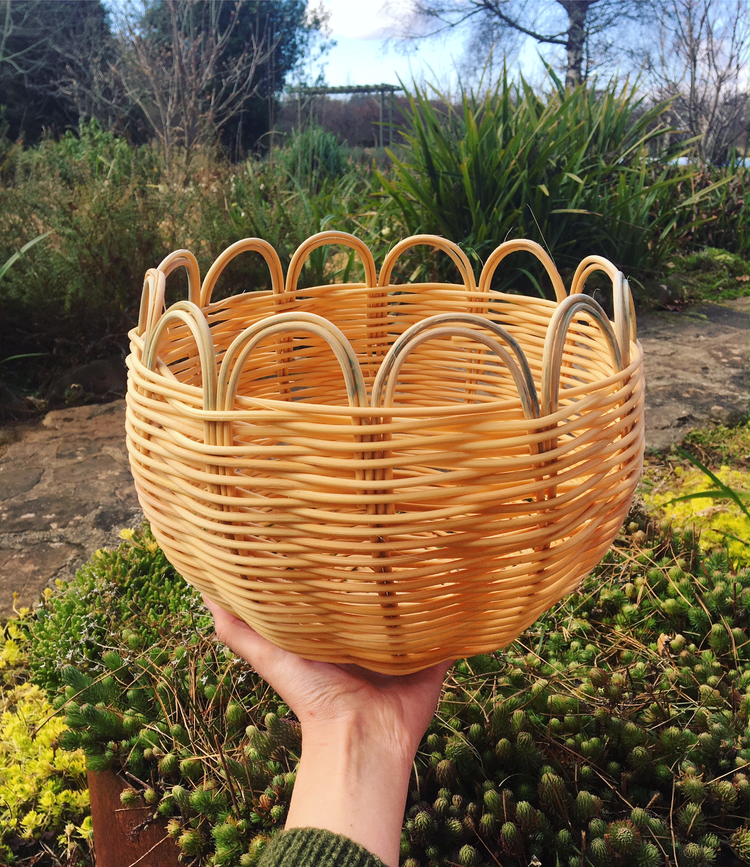 Nov 26 Cane basket making The Forest Folk