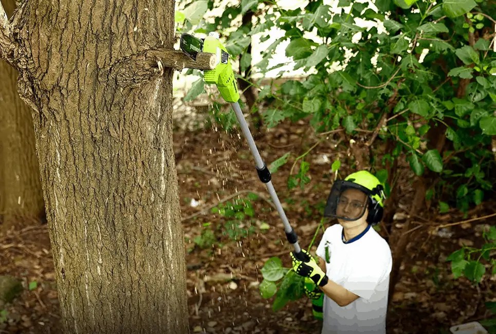 Milwaukee Pole Saw Review and Guide Is It A Good Investment? The