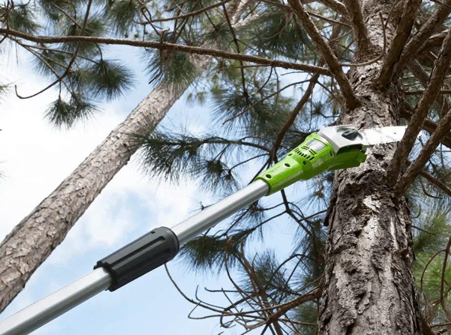 Greenworks Pole Saw Review and Guide Is It Actually Good? The