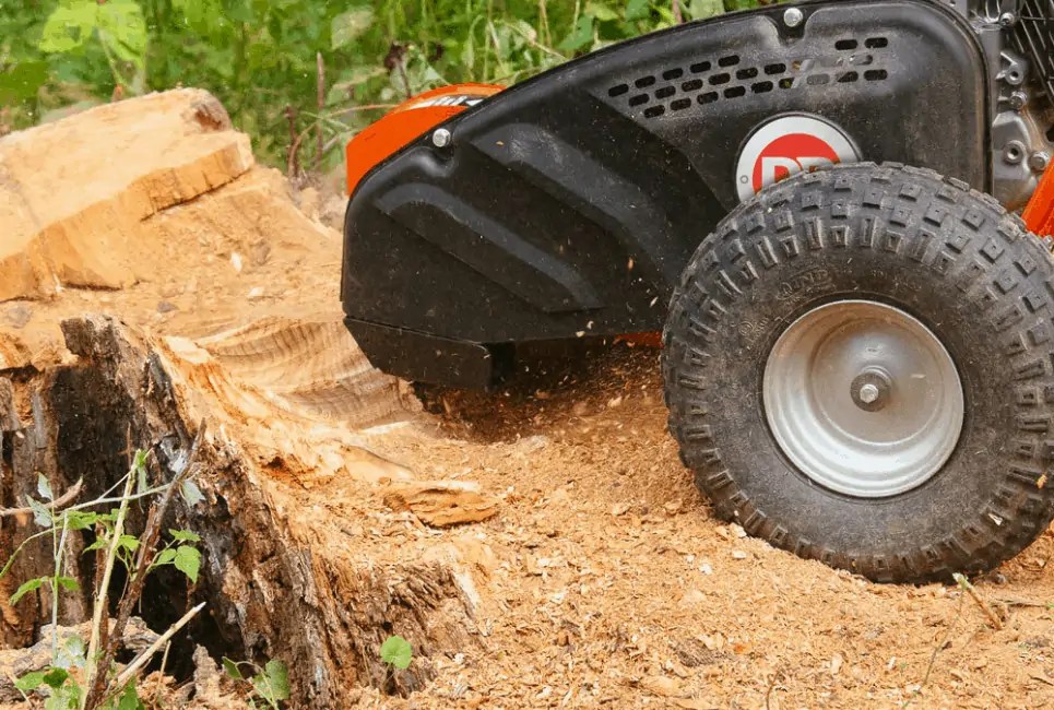 Dr Stump Grinder Review and Guide Is It Worth The Hype? The Forestry