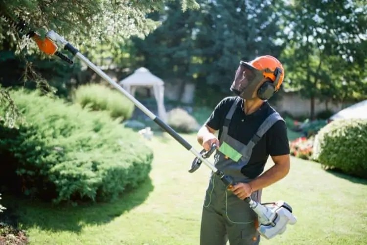 How to Find the Best Pole Saws Top Brands and Models The Forestry Pros